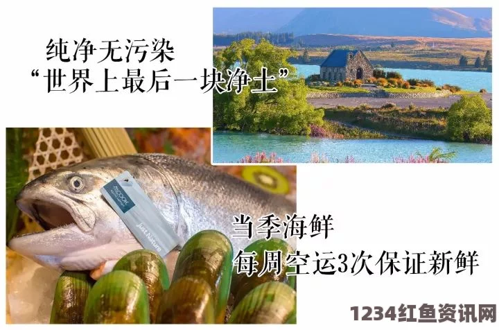 新西兰美食探秘，生蚝中的意外珍珠宝藏之旅