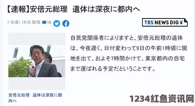 日本网民对安倍政策的看法，透明度的缺失与公众知情权的挑战