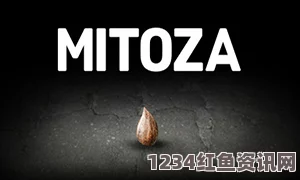 大片免费播放探索Miaomi最新地域网名：激情四溢，点燃创意与个性的新空间！