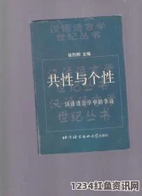 南非公立学校设立汉语课程引发的争议，新殖民主义的疑虑与挑战