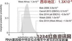 埃博拉疫苗研发进展显著，最新试验成果显示接近百分之百有效