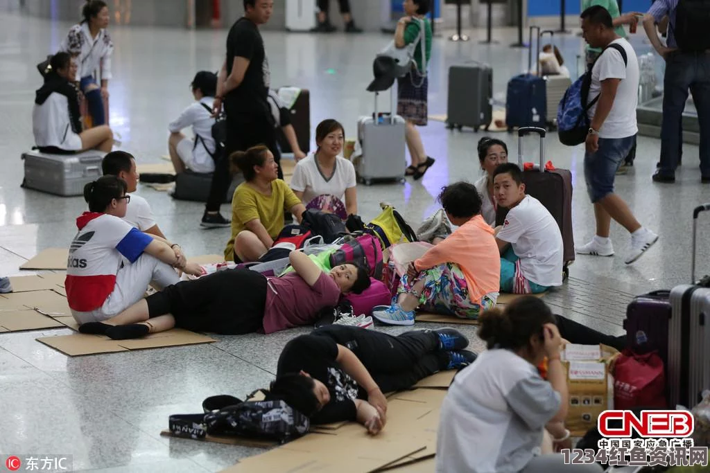 美国客机遭遇极端天气，冰雹袭击下的惊险迫降