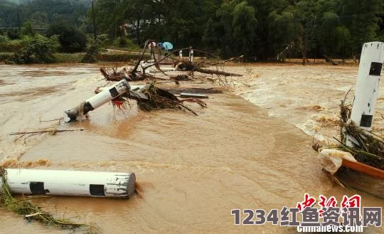 俄罗斯遭遇大规模蝗虫侵袭，农作物遭受严重损失