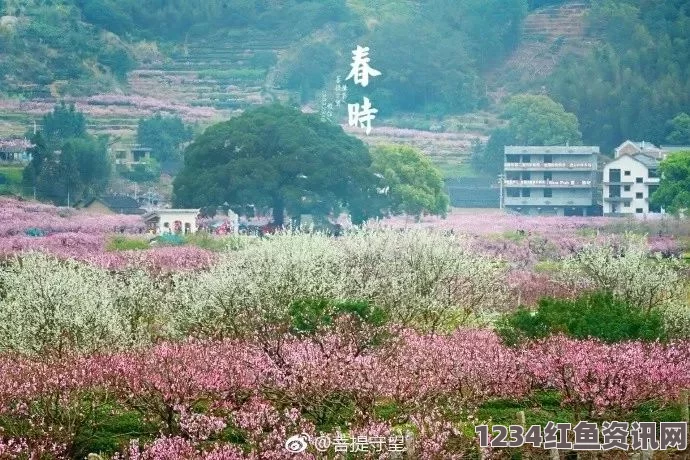 大片免费播放桃花洞口已是溪水潺潺：探寻自然的静谧与清新，感受心灵的放松与激情的碰撞