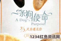 人or猪or狗《黄色国产》：影视探索中的武打片魅力，小说改编与评价交织的刺激体验。