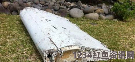 法属留尼汪岛发现疑似MH370残骸，法国展开紧急调查确认工作