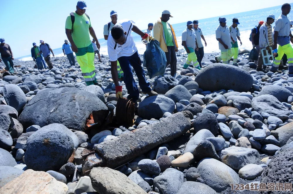 疑似MH370残骸现身法属留尼汪岛，法国展开调查确认工作