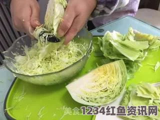 幻塔简易能量沙拉制作方法详解与分享