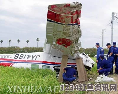 日本小型飞机坠毁民居事件，现场视频曝光，已致多人死伤