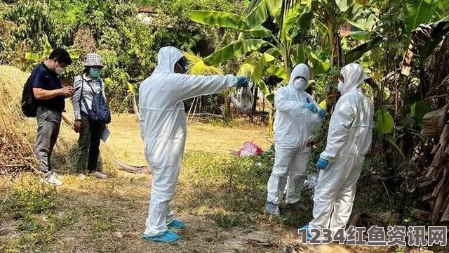 柬埔寨爆发H5N1禽流感疫情，鸭子大规模死亡