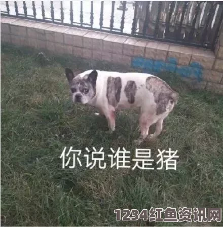 人or猪or狗黑料社区 爆料：这个平台不仅揭示了各种内幕，还让大众对社会现象有了更深入的理解和反思。