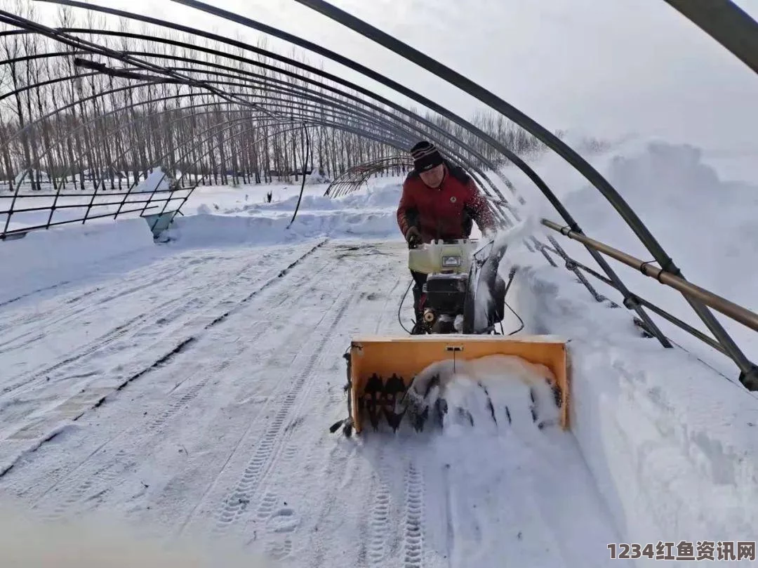 模拟农场22冬季清雪攻略揭秘，高效清雪方法与技巧分享