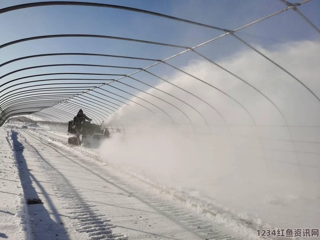 模拟农场22冬季清雪攻略，有效清雪方法大揭秘