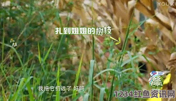 请叫我总监免费观看完整版电视剧都是人情世故第一关怎么过