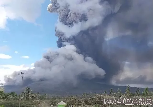 印尼龙目岛火山喷发致紧急状况，大批中国游客滞留机场关闭事件报道