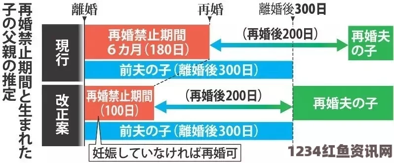 日本女性再婚期限争议，对婚姻自由的挑战与反思