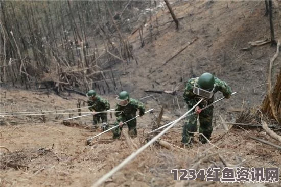 中越边境第三次扫雷行动进展与云南雷区现状揭秘