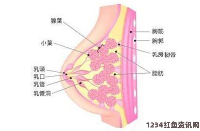 女子以幽默面对乳癌切除手术，乳房的蜕变与生活的韧性（附图片）