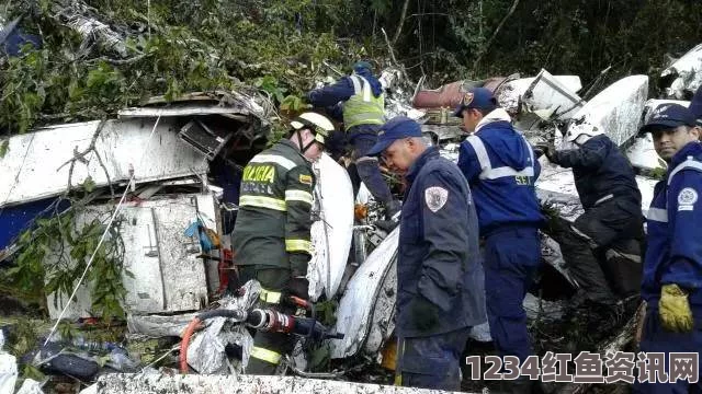 巴西男子飞机上突发暴力事件，不幸身亡引发关注