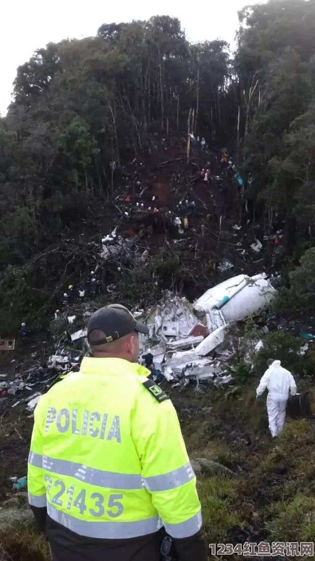 巴西男子飞机上突发暴力事件，不幸身亡引发关注