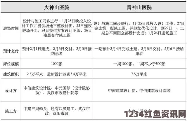 新世界中的武器涂层，深度解析与问答环节