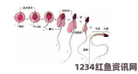 樱花动漫在线观看免费完整版影视蝌蚪窝一个可以释放精子的网站，这个平台在提供生殖健康知识的同时，也让人们更加了解生态与生命的奇妙。