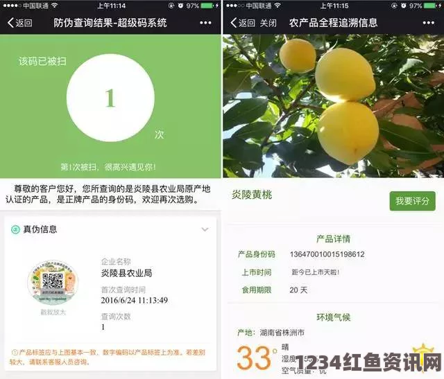 一家乱战9612黄桃网址进入页面手机端：这个平台提供了丰富多样的内容体验，方便用户随时随地获取最新信息。