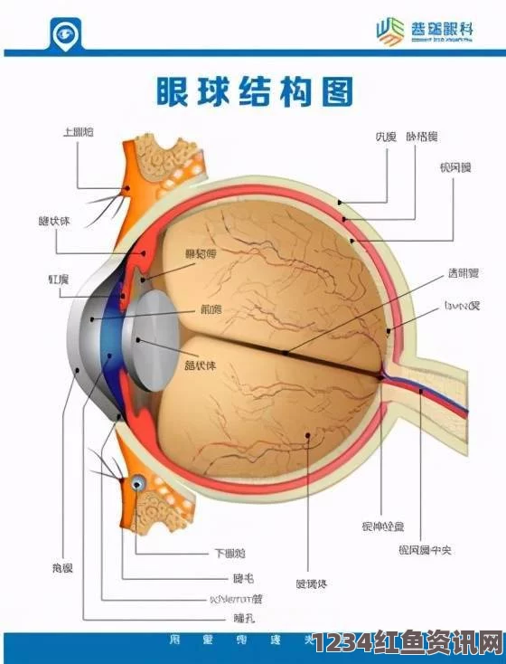 9.8分成人动画黄游下载：在选择时需谨慎，关注内容健康与否，以免影响身心发展。