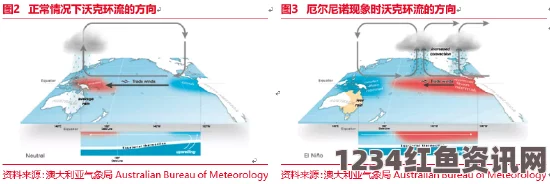 全球面临二十年最严重厄尔尼诺现象，农产品价格或将大幅上涨