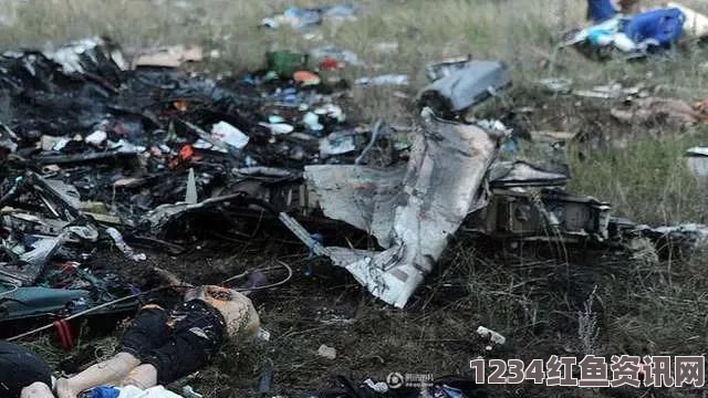 马航MH17客机空难报告即将发布，事故细节与可能遭遇导弹袭击的真相探讨