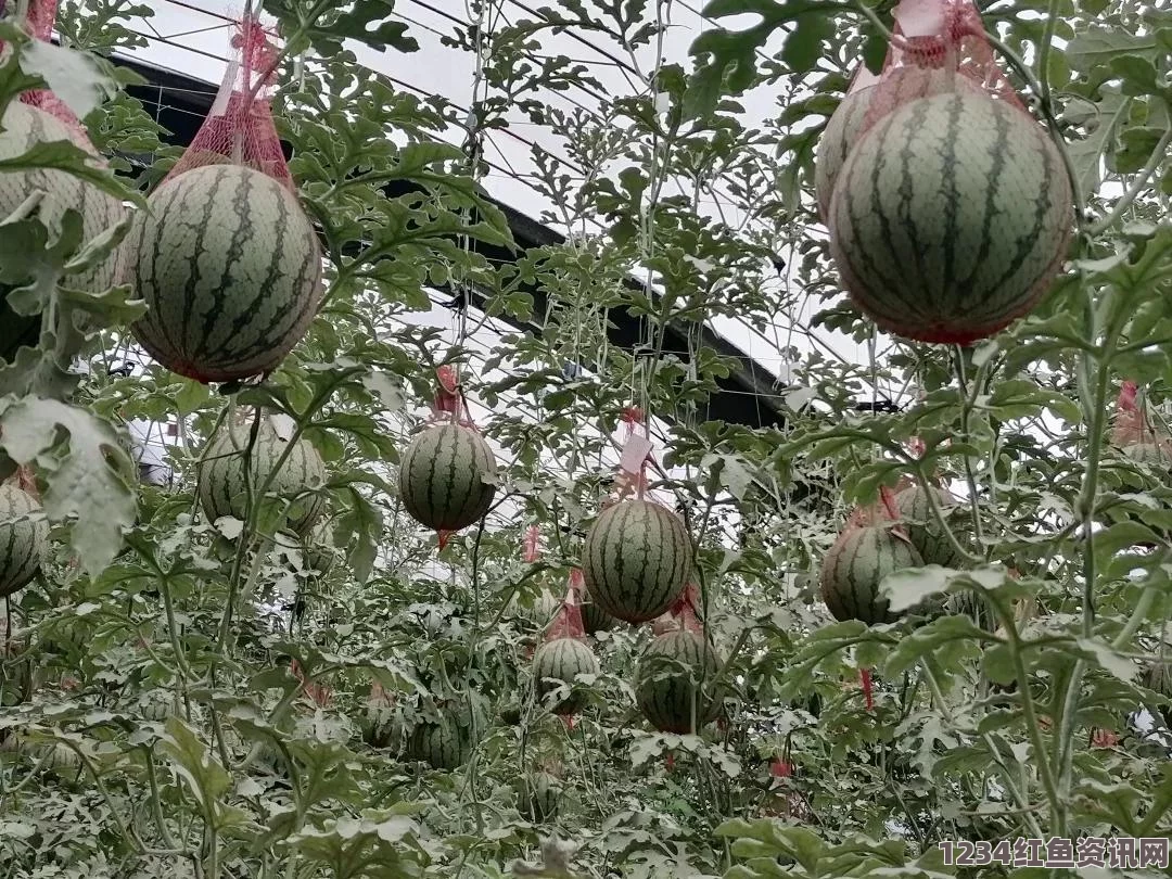 好东西免费播放电影在线观看草莓视频污污污污污：这个平台以其丰富多样的内容吸引了不少用户，但也需注意版权及合规问题。