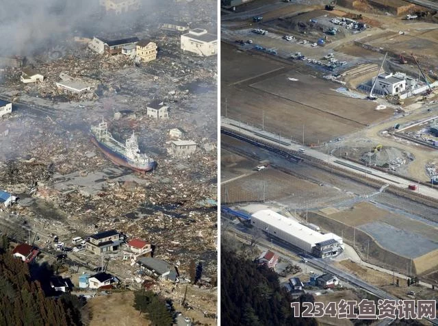 日本大地震四年余后的搜救与重建之路