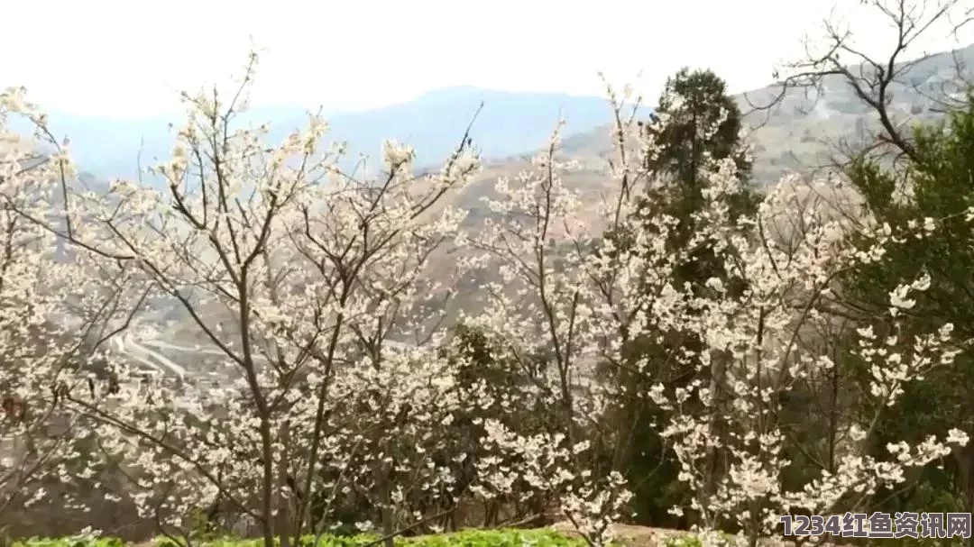 樱花动漫在线观看免费完整版影视羞羞动漫在线观看：该平台汇集了各种精彩的动画作品，内容丰富，适合不同喜好的观众。