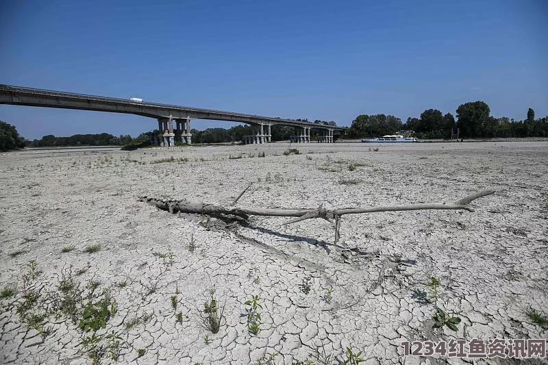 西班牙遭遇极端高温引发森林大火，紧急撤离逾千民众