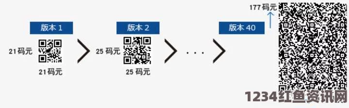 深入解析日韩码一码、二码、三码之间的区别与应用场景