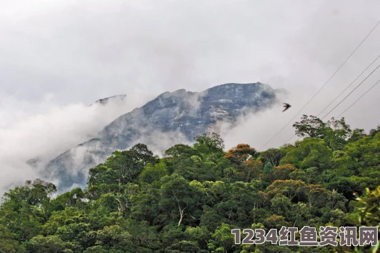 马来西亚沙巴发生5.9级地震，中国登山者遭遇失踪危机