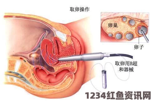 南非男子惊现大量金属异物摄入，胃部被填满事件揭秘（附图）