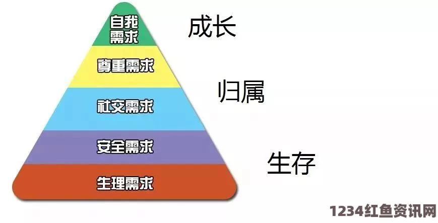 对“韩国理论大全”的深刻解析与思考：韩国理论大全