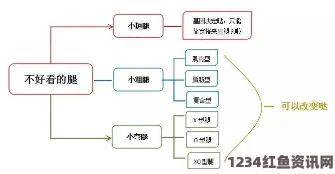 提升健身效果的秘密：私教1V2训练模式全解析与实施指南