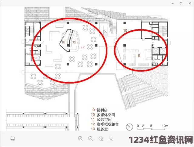 “探讨凸轮场景下自由管的性别表现与影响研究”