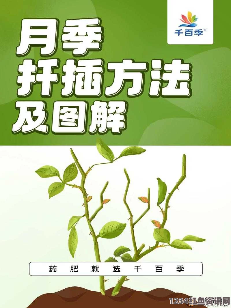 邀请部长到家里吃饭的正确方式，如何做才能让领导感到满意并建立良好关系？