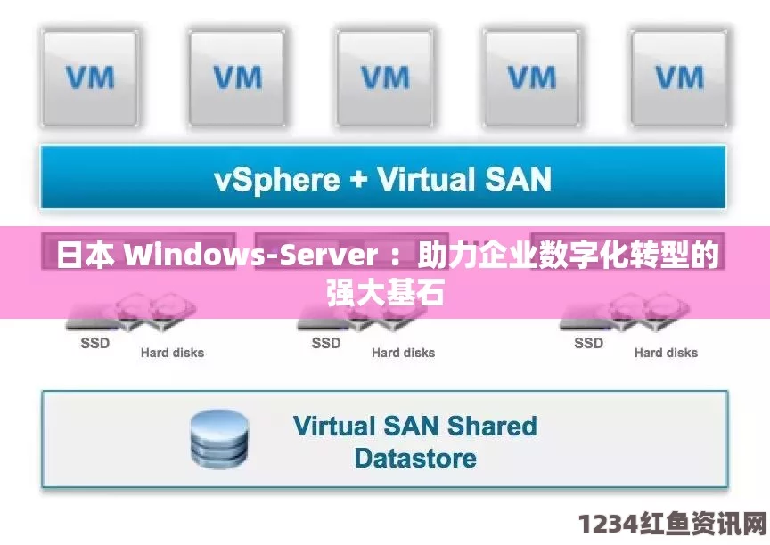 深入探索日本市场中的Windows Server应用与发展趋势分析