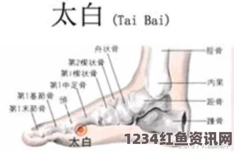 提升丰年经继拇中文2使用效率的实用技巧与经验分享