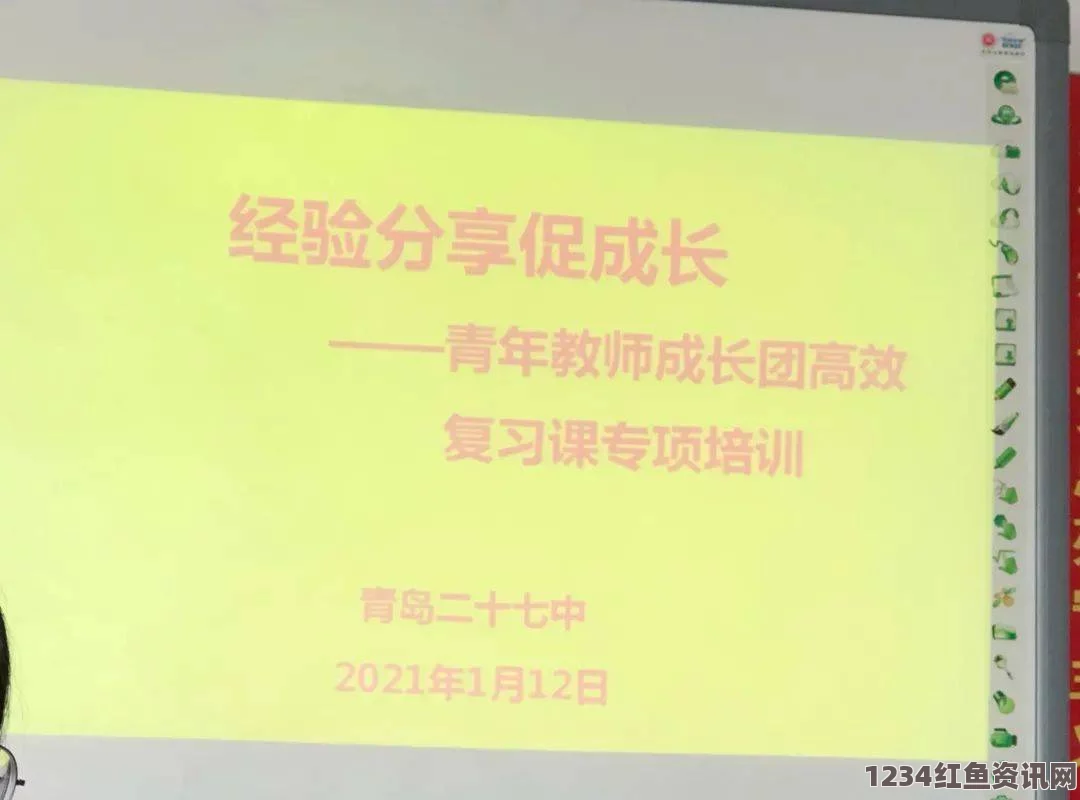 提升丰年经继拇中文2使用效率的实用技巧与经验分享