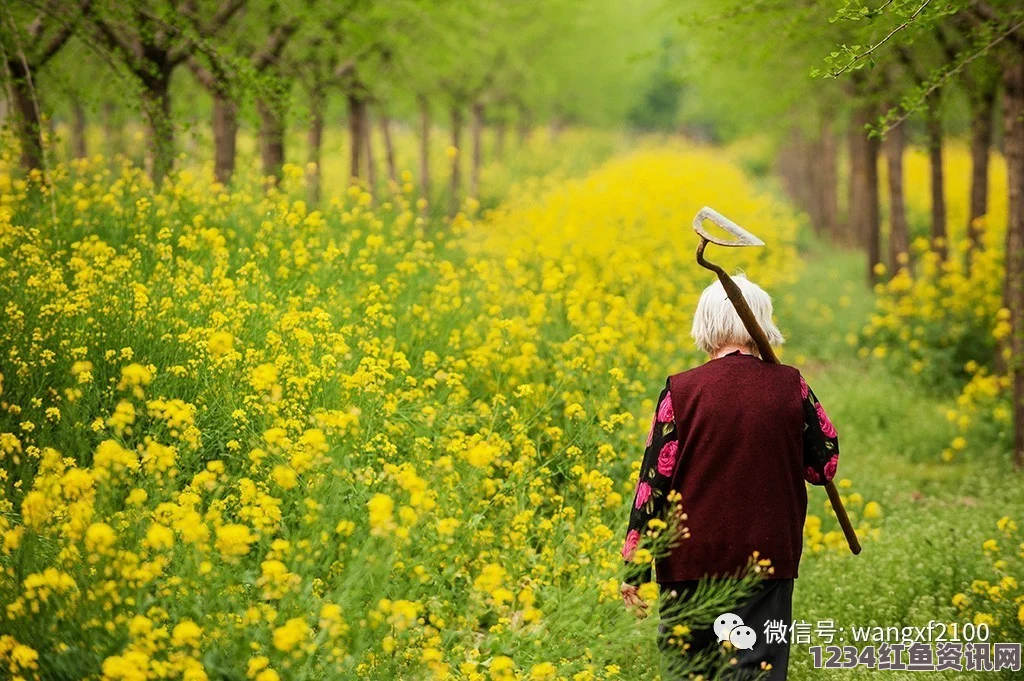 品味母爱的芬芳