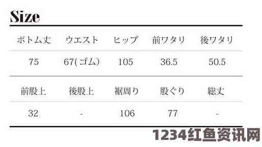 全面解析日本一码、二码、三码尺码系统及其对应国际标准