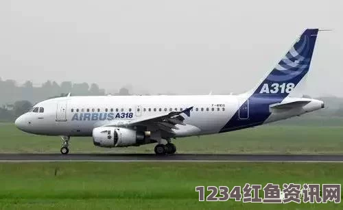 法国失事飞机A320黑匣子发现，事故真相揭秘与恐怖主义无关