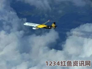 汉莎旗下Germanwings航班坠毁事件深度解析，事故背景、调查进展与问答环节探讨