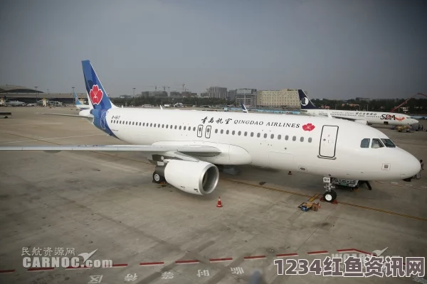 空客A320客机飞机事故回顾，操作失误为主要原因