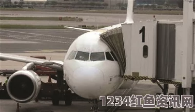 A320航班巴塞罗那至杜塞尔多夫航线悲剧，一次空难的反思与问答